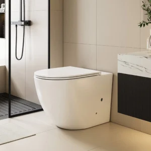 Clearance Toilets & Bidet Seats